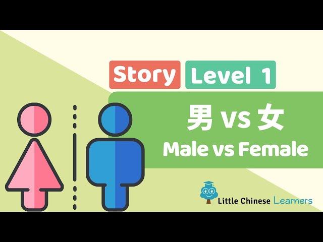 Kids Learn Mandarin - Male vs Female 男 VS 女 | Level 1 Story | Little Chinese Learners