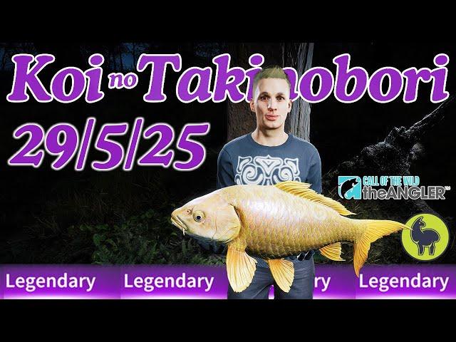Koi no Takinobori the Japan Legendary Fish this Week 29/5/25 | Call of the Wild: The Angler