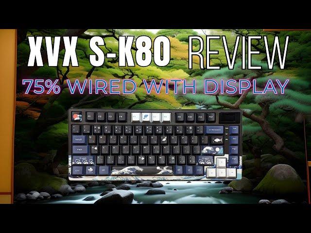 XVX S K80 Review and Sound Test