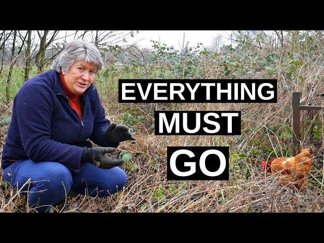 EASY How To Clear Perennial Weeds (at the Allotment or No Dig Garden)