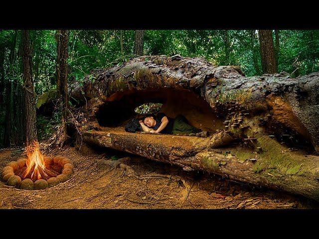 Build a House Under an Old Tree. Make Your Own Complete and Warm Home. Hunt and Cook over a Fire.