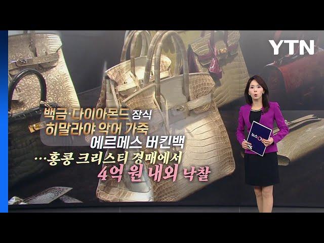 '상위 1%'를 위한 에르메스 악어백...잔인한 제작 과정 논란 [앵커리포트] / YTN