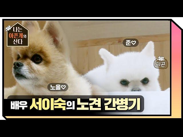 배우 서이숙과 아픈 반려견의 애틋한 간병이야기  [나는 아픈개와 산다] 20200618