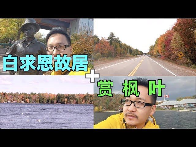 加拿大枫叶也太美了吧？秋季赏枫+白求恩故居,陶醉了！#Bethune#白求恩故居#赏枫#慕斯科卡#muskoka