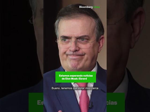 Estamos esperando noticias de Elon Musk: Marcelo Ebrard