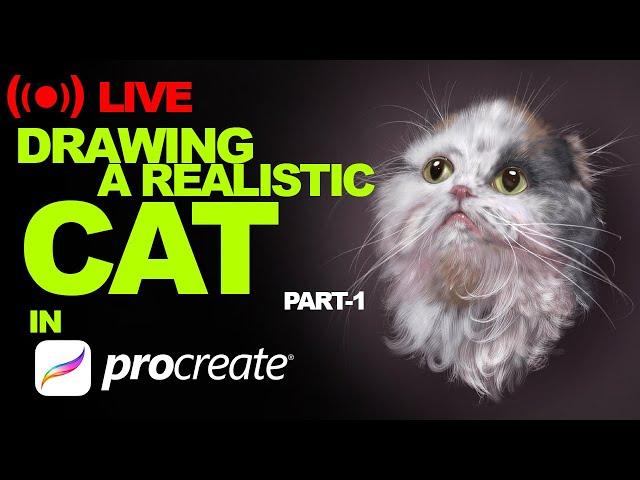 Livestream #8-Live Drawing REALISTIC CAT in PROCREATE Part -1#realistic #procreate #Tutorial #Ipad