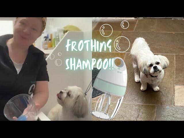 Frothing shampoo.. helping you save on pet shampoo!! | Mini Mixer | Dog Grooming UK