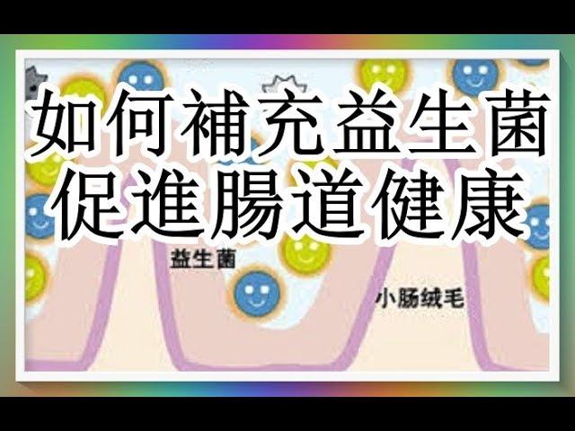 如何補充益生菌促進腸道健康 （營養師分析）益生菌2/3