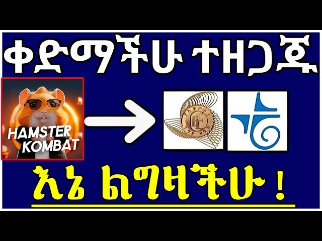 መሸጥ ለምትፈልጉ! |HMSTER KOMBAT UPDATES | BLUM WITHDRAWHAMSTER KOMBAT in ETHIOPIA 2024