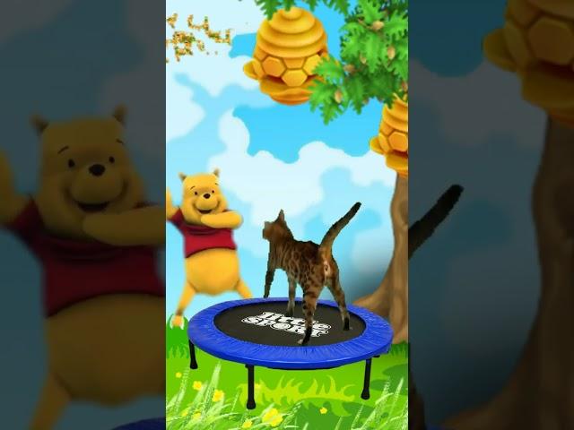 FUNNY CAT MEMES 1 | WOW MRRR MEOW #shorts