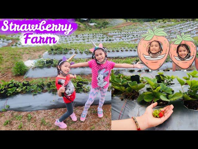 Strawberry Farm in Bohol with Nathaly and Nadine