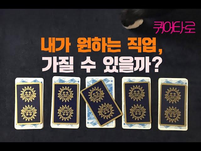 [퀴어타로] 내가 원하는 직업, 가질 수 있을까?/직업운/진로운타로