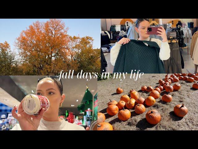 FALL VLOG  shop with me, sephora haul, apple orchard, cozy october days in my life