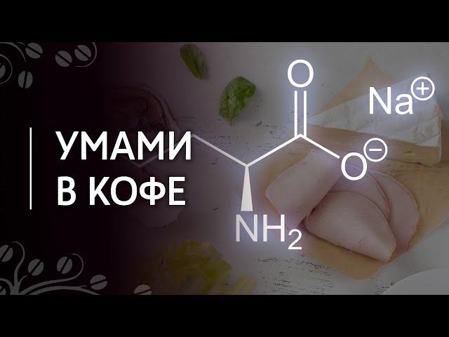 Вкус умами в кофе