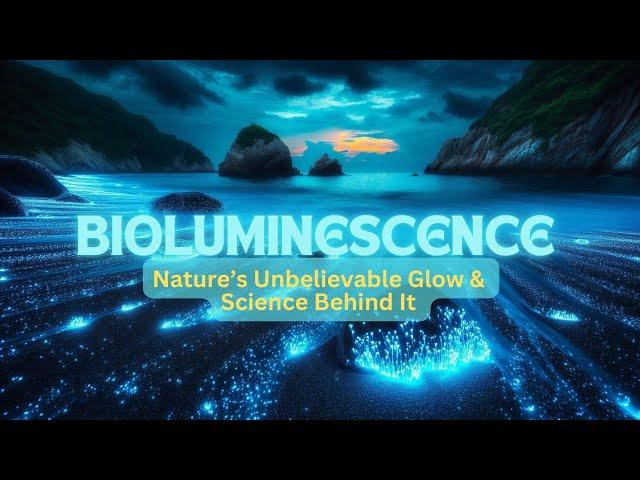 Glowing Beaches Exist—Discover the Magical Science Behind Nature’s Dazzling Light Show!