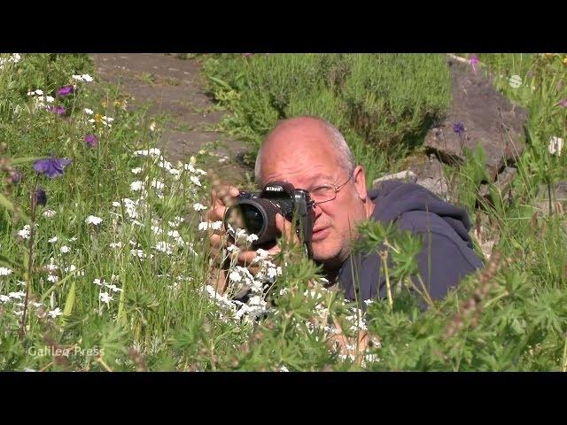 Schöne Makrofotos vor der eigenen Haustür - Blende 8 - Folge 100