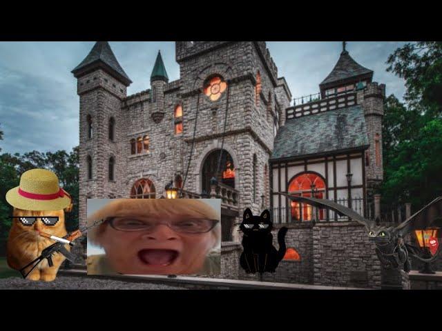 Cool cat & the Arcade Game (Pt 3)
