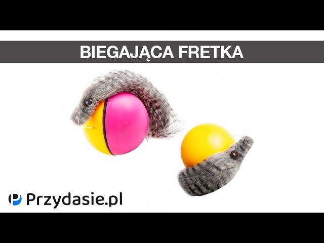 Stymulacja kota poprzez zabawę - Fretka - zabawka sensoryczna #2656 | PrzydaSiePL