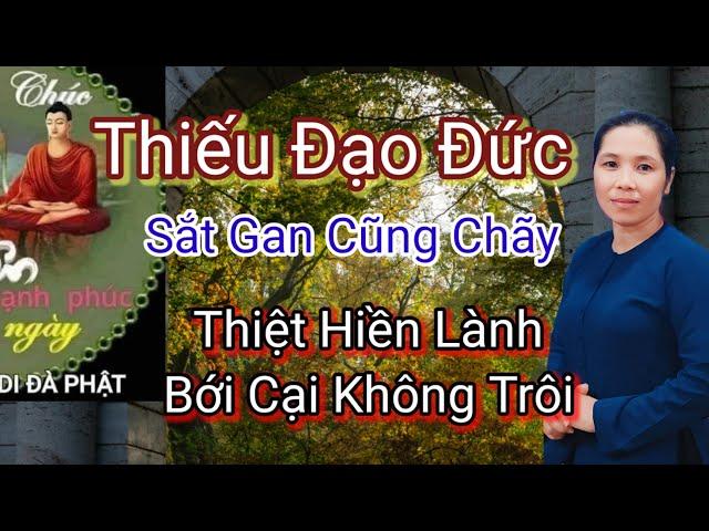  Thiếu Đạo Đức Sắt Gan Cũng Chãy, Thiệt Hiền Lành Bới Cại Không Trôi  Lời Của Ngài Thanh Sĩ