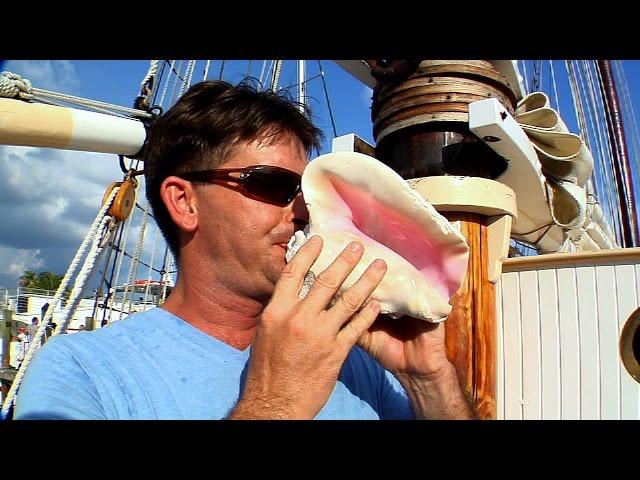 How To Blow a Conch Shell