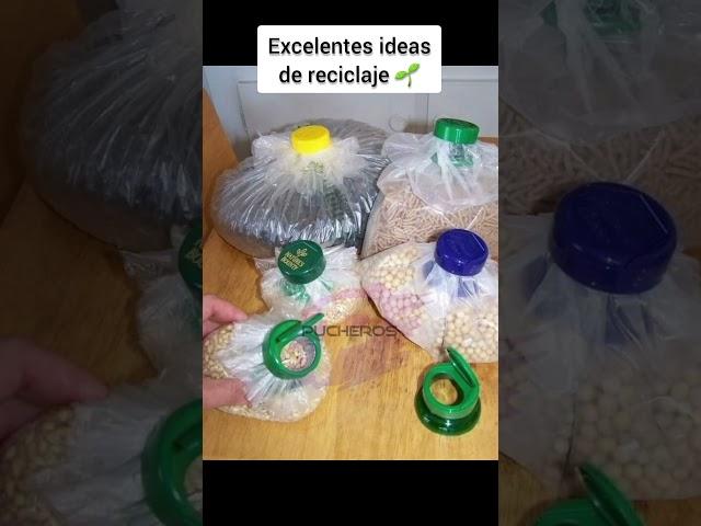 Ideas de reciclaje ️🫰 #reciclaje #reciclar #ambiente #helpambiente #comparteysuscribete