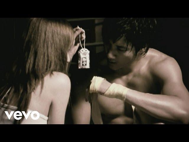 王力宏 Leehom Wang - 愛錯