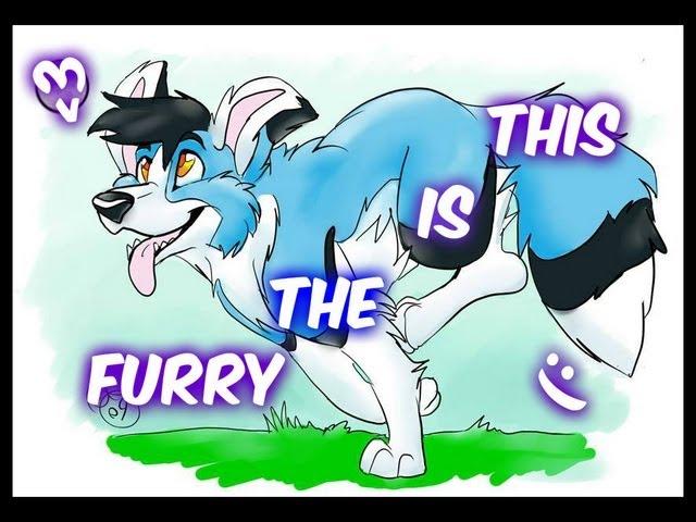 This is The Furry