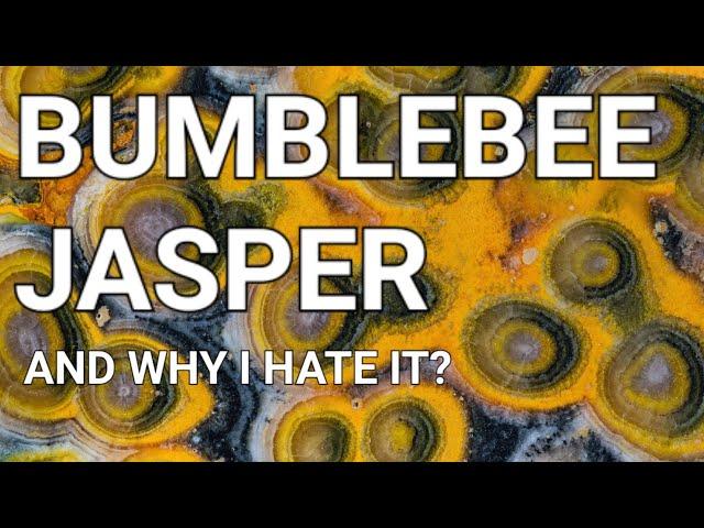 BUMBLEBEE JASPER - AND WHY I HATE IT