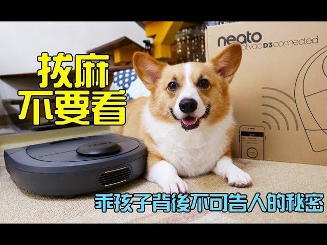 柯基犬肥油 X 乖孩子背後不可告人的秘密 Neato Botvac D3