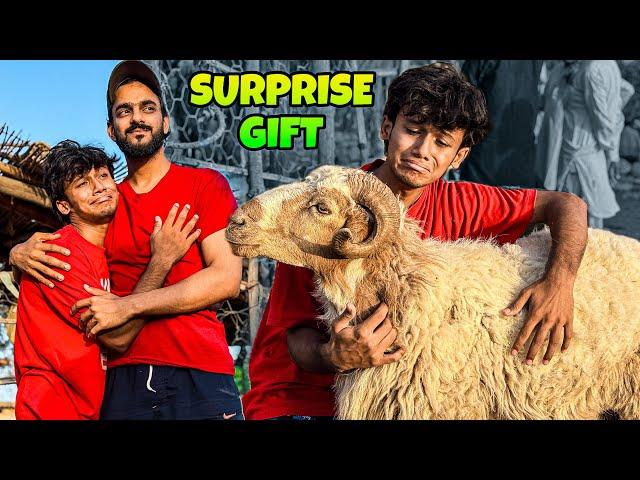 SURPRISING MY CAMERAMAN WITH QURBANI KA DUMBA | COW MANDI | MISHKAT KHAN