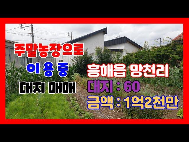 354. 망천리 주말농장매매 조용하고 깨끗한 흥해주택부지매매  주말농장으로 이용중인 포항주택부지매매 흥해부동산