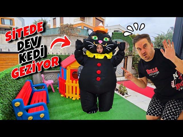 ELİF SİNEM DEV KEDİ SİTEDE BABANI KOVALADIN‼️