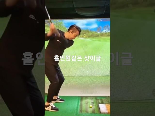 샷이글은 많이 하면서...왜 홀인원은 안나올까~