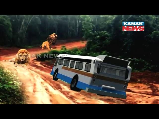 Safari Bus Stuck Among Lions In Nandankanan For 30 Mins