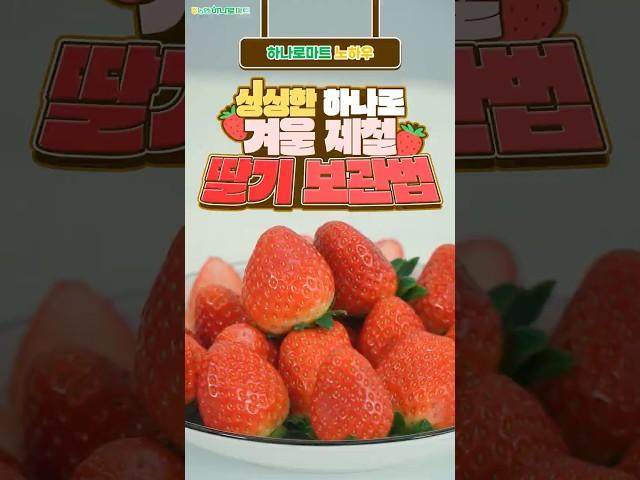 싱싱한 딸기 보관법 & 부위별 활용법