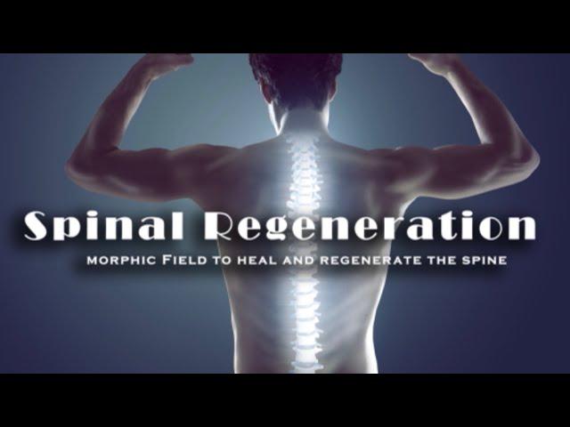 Spinal Regeneration (Morphic Field to Heal the Entire Spine Including Herniated Discs)