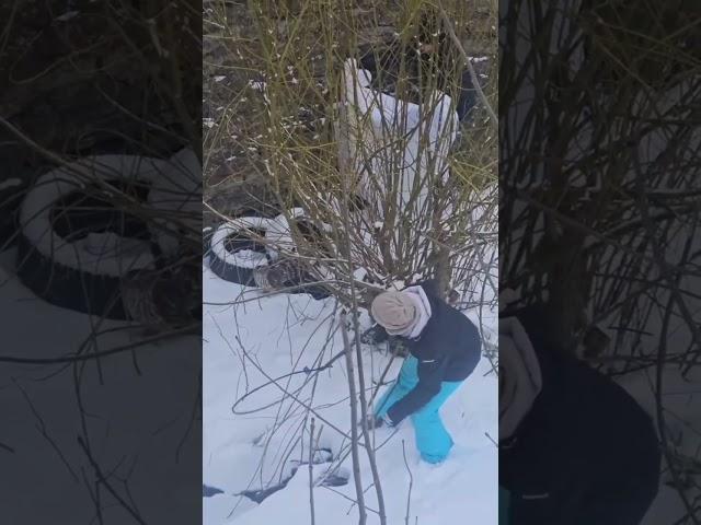 Спасающая ястреба в Нарве женщина провалилась в яму с водой. Все завершилось благополучно