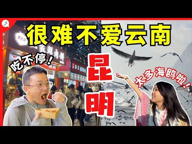 【中国旅游EP18】  第一次到中国云南昆明！ 别再把这里当中转站 | 太多好吃！这里的海鸥也太多了吧！