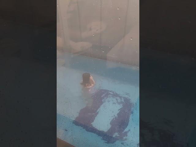 #겨울물놀이#세종#풀펜션#딸냥티비#온수풀수영장#세종폔션