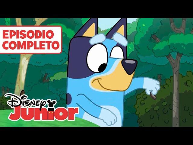 BLUEY:  El arroyo  | CONTENIDO ACCESIBLE: AD | EPISODIO COMPLETO | @DisneyJuniorES