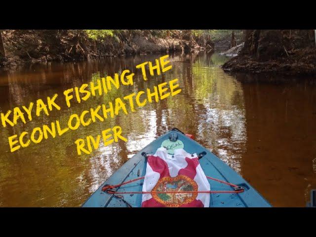 Kayak Fishing The Econlockhatchee River In Orlando Florida