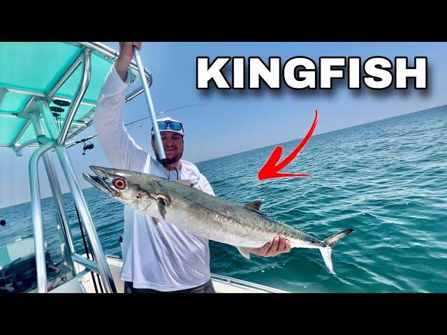 Trolling BIG LURES Offshore for AGGRESSIVE FISH! (Catch, Clean, Cook)