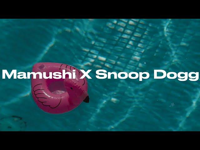 Mamushi X Drop it like it's hot | Electro Flip |