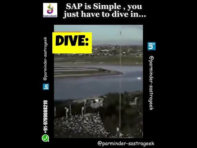  SAP is Not as Simple as It Seems - It’s an Ocean! 