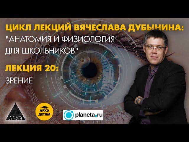 Вячеслав Дубынин: "Зрение" (Лекция 20)