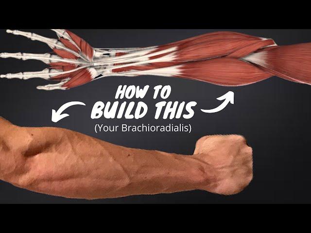 The 2 Science-Based KEYS to Building the BRACHIORADIALIS!! (Forearm Series Part 1 of 3)