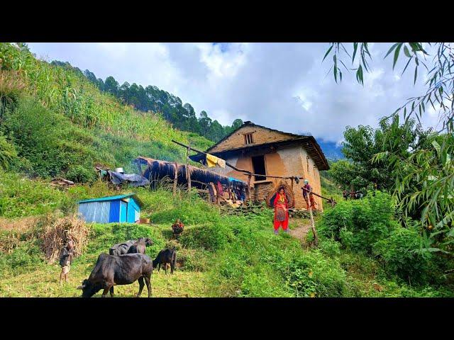 Most Relaxing And peaceful Himalayan Nepali village  ||daily activities of mountain village lifestyl