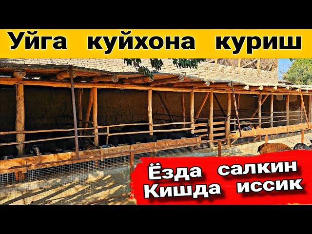 Оддий  куйхона  куриш  томи  йук.  лой  босилга