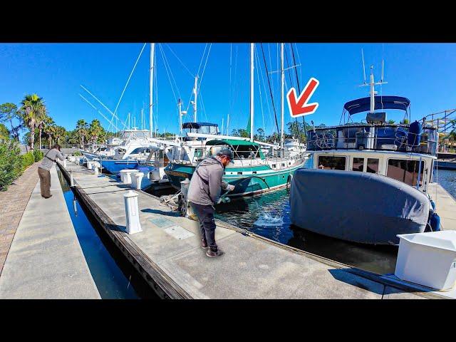 Tossing Baits Under Giant Sailboats For Dinner! *I've never seen this fish before*