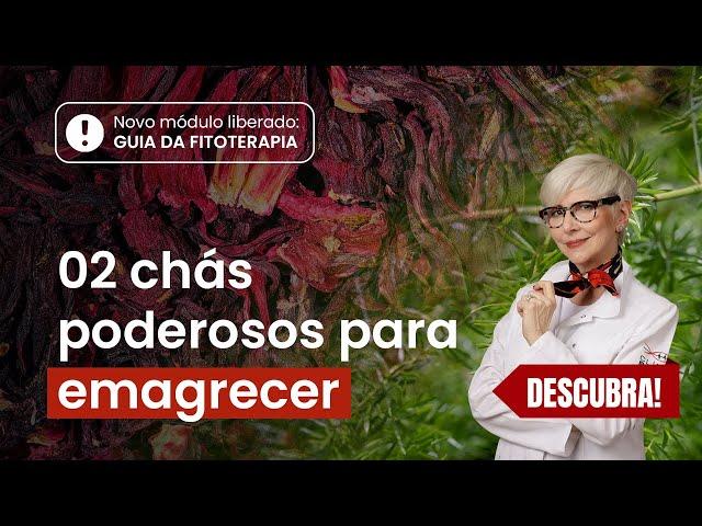 2 CHÁS naturais para EMAGRECER e DESINFLAMAR